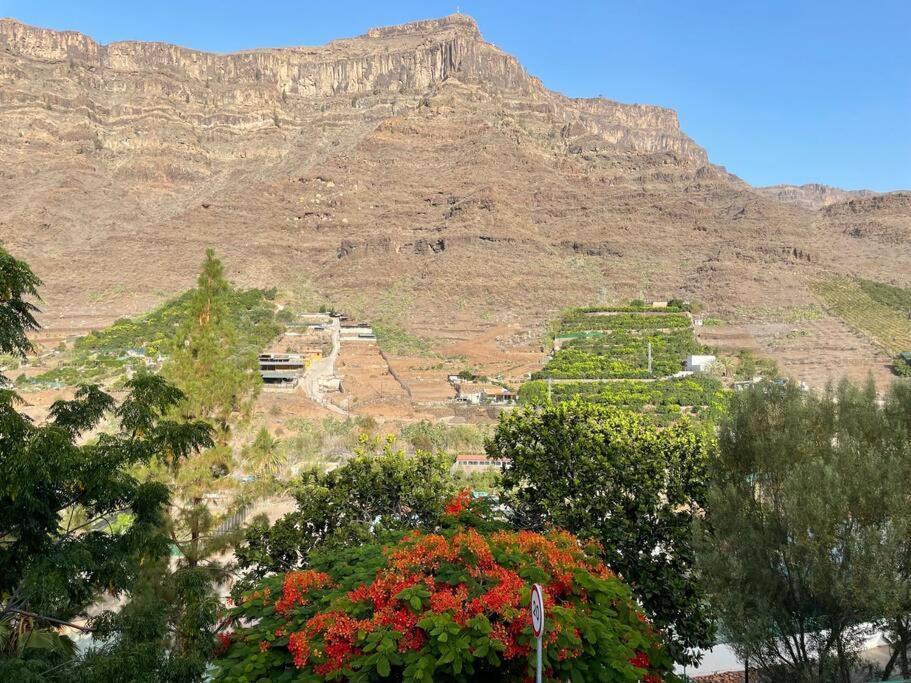Cycling Holiday, 11 Km From Arguineguin Las Casillas  المظهر الخارجي الصورة